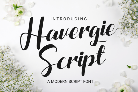 Havergie: Elevate Your Brand with This Chic Script Font
