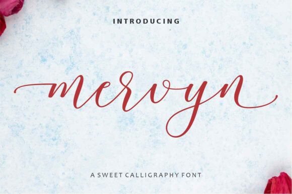 Mervyn: The Calligraphy Font for Timeless Branding