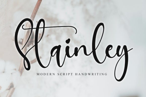Stainley: A Modern Script Font for Authentic Branding