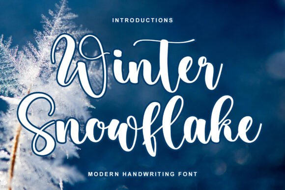 Winter Snowflake: A Dainty Script for Branding and Design